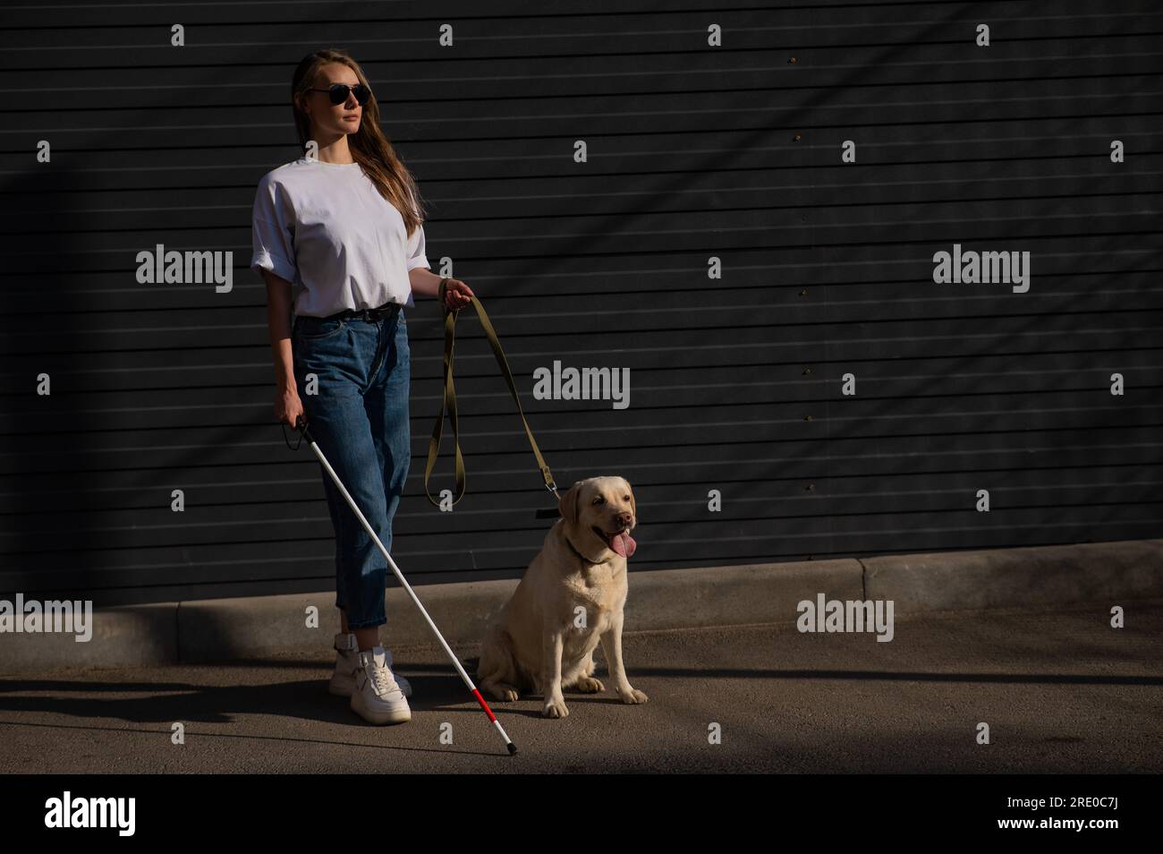 Blind woman walking guide dog outdoors Stock Photo - Alamy