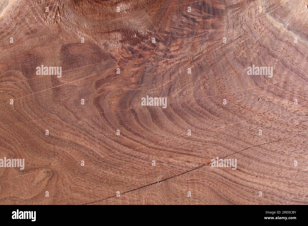 Planing Marks on a Beautiful Black Walnut Wood Slab Stock Photo Alamy