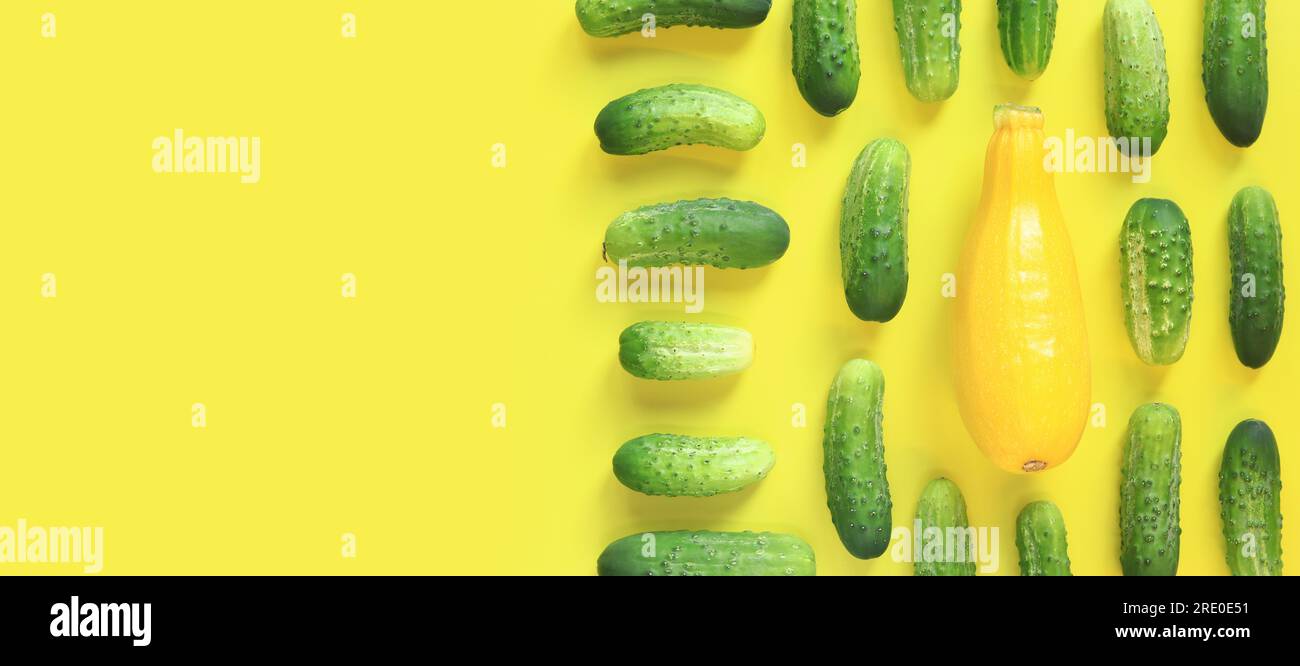 Freshly picked vegetables, zucchini and cucumbers on a yellow background, top view. Place for text Stock Photo
