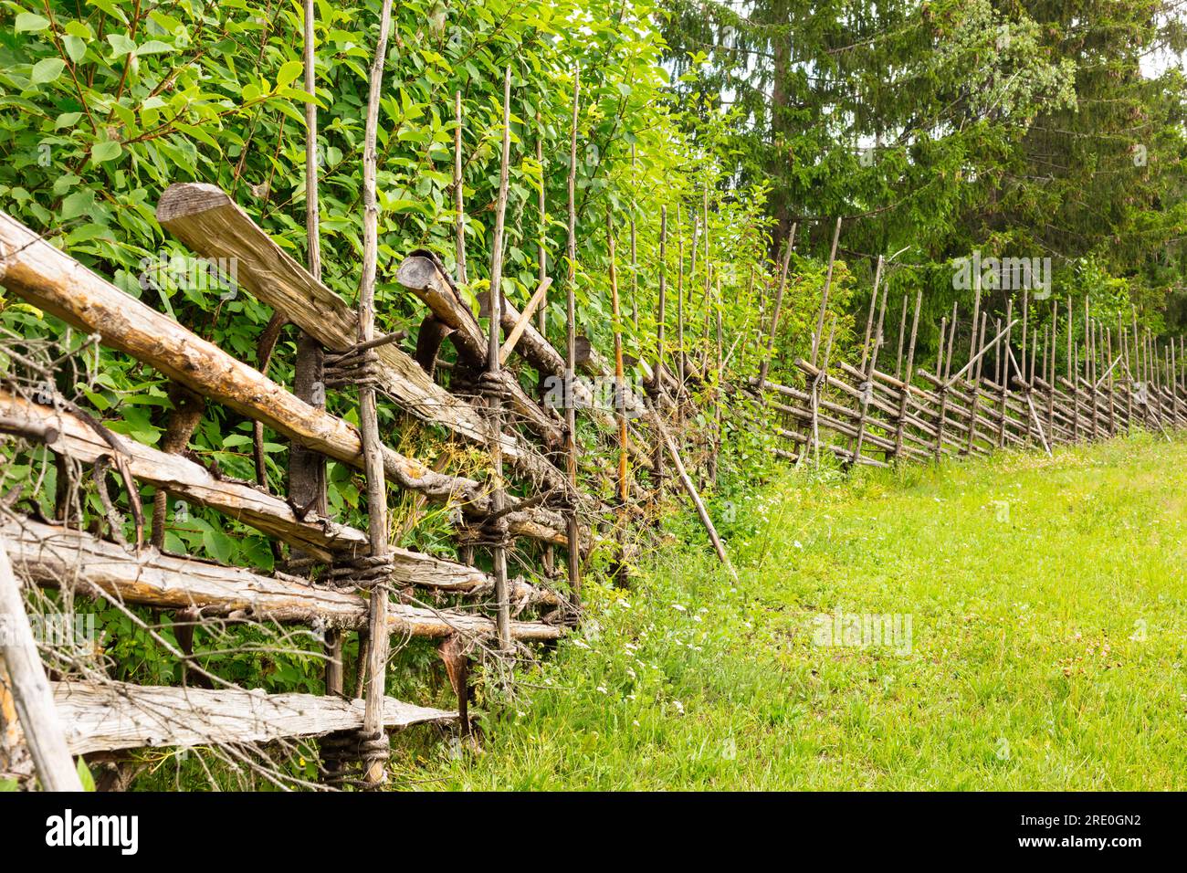 Nordic Fencing