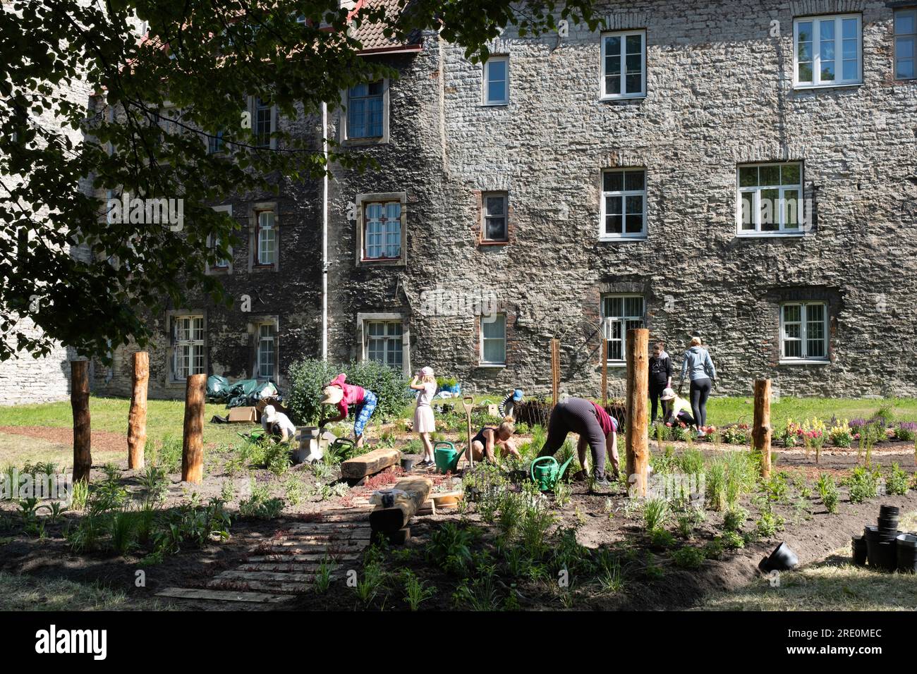 Image showcasing Tallinn residents garden together at the old city walls of the city ...
