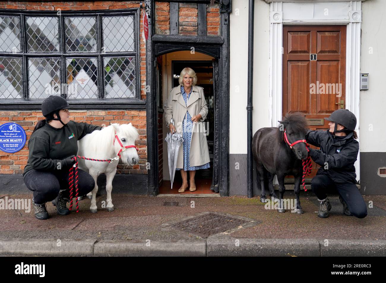 Queen Camilla meets two Shetland ponies and their handlers during a visit to Redwings Horse Sanctuary at Anna Sewell House in Great Yarmouth, while on a visit to Norfolk. Redwings Horse Sanctuary have been the custodians of Anna Sewell House since 2022. The House is the verified birthplace of Anna Sewell, author of Black Beauty. Picture date: Monday July 24, 2023. Stock Photo