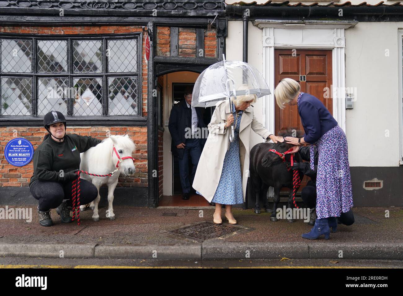 Queen Camilla meets two Shetland ponies and their handlers during a visit to Redwings Horse Sanctuary at Anna Sewell House in Great Yarmouth, while on a visit to Norfolk. Redwings Horse Sanctuary have been the custodians of Anna Sewell House since 2022. The House is the verified birthplace of Anna Sewell, author of Black Beauty. Picture date: Monday July 24, 2023. Stock Photo