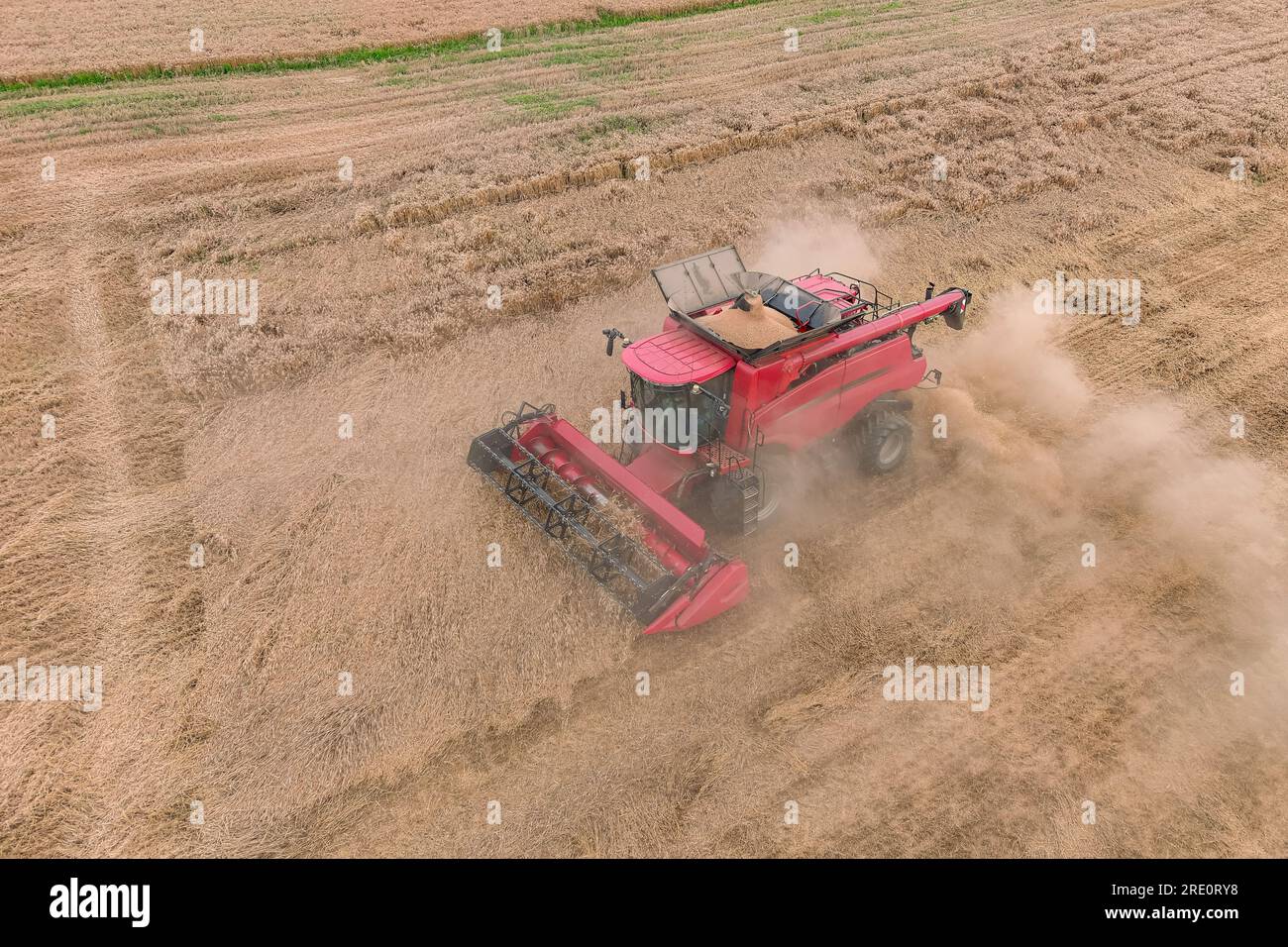Aerial drone view, combine harvesters working in wheat field Stock Photo