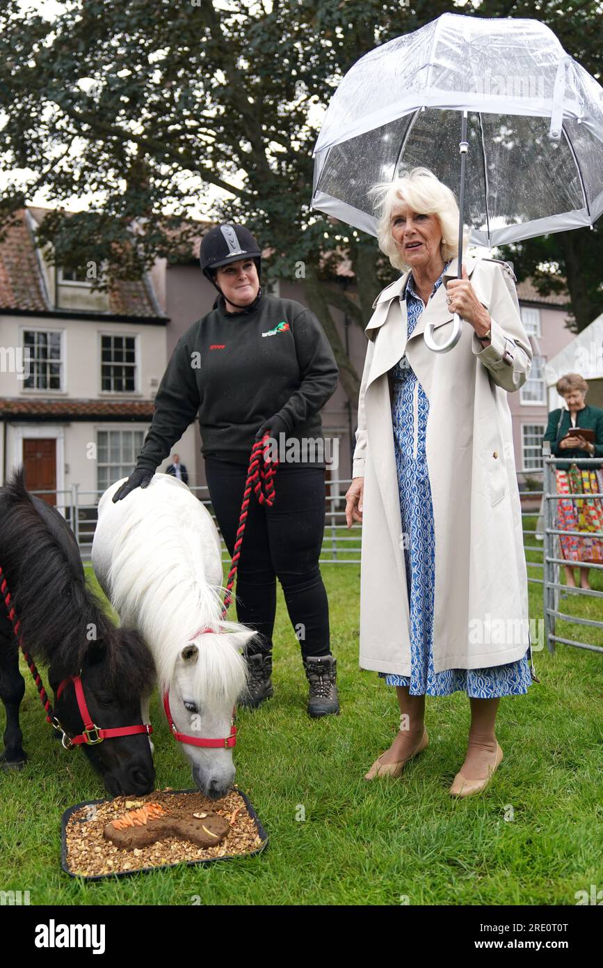 Queen Camilla helps present two Shetland ponies with an edible cake during a visit to Redwings Horse Sanctuary at Anna Sewell House in Great Yarmouth, while on a visit to Norfolk. Redwings Horse Sanctuary have been the custodians of Anna Sewell House since 2022. The House is the verified birthplace of Anna Sewell, author of Black Beauty. Picture date: Monday July 24, 2023. Stock Photo