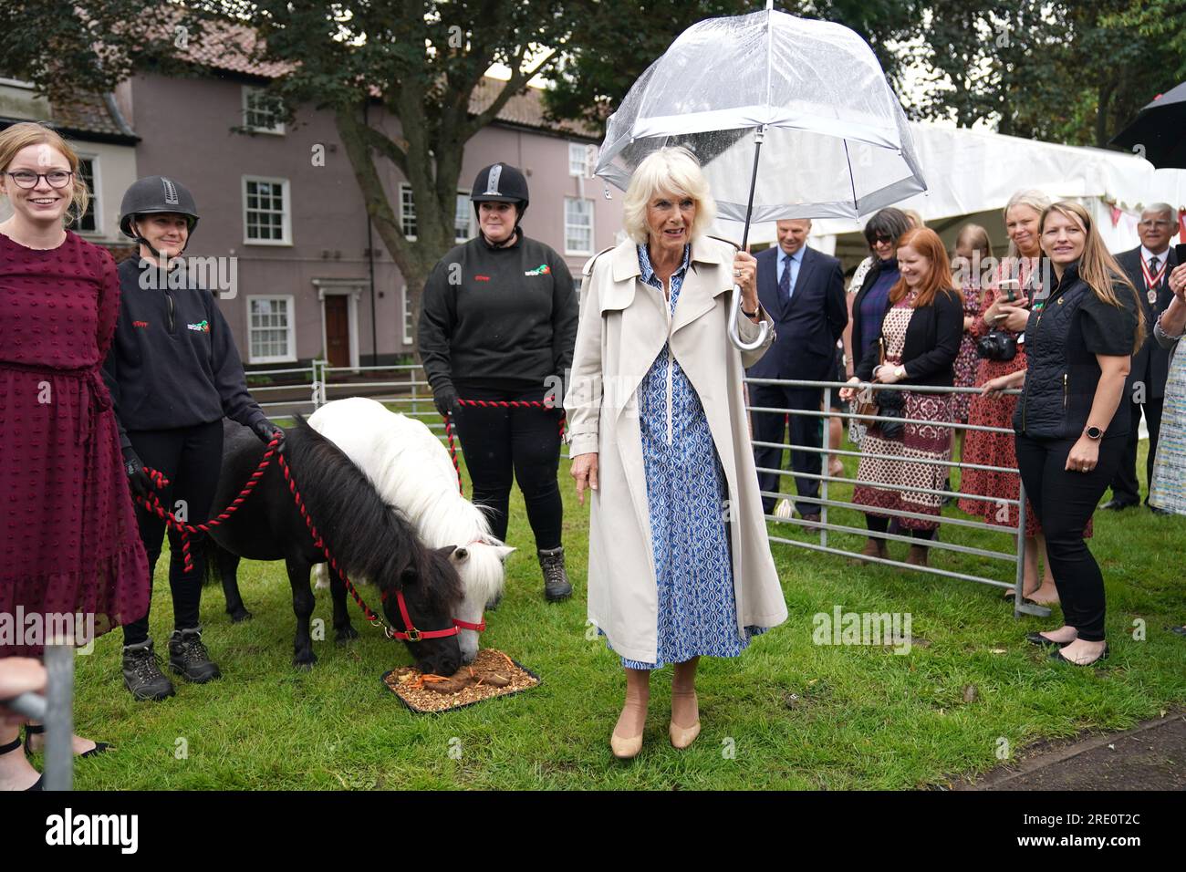 Queen Camilla helps present two Shetland ponies with an edible cake during a visit to Redwings Horse Sanctuary at Anna Sewell House in Great Yarmouth, while on a visit to Norfolk. Redwings Horse Sanctuary have been the custodians of Anna Sewell House since 2022. The House is the verified birthplace of Anna Sewell, author of Black Beauty. Picture date: Monday July 24, 2023. Stock Photo