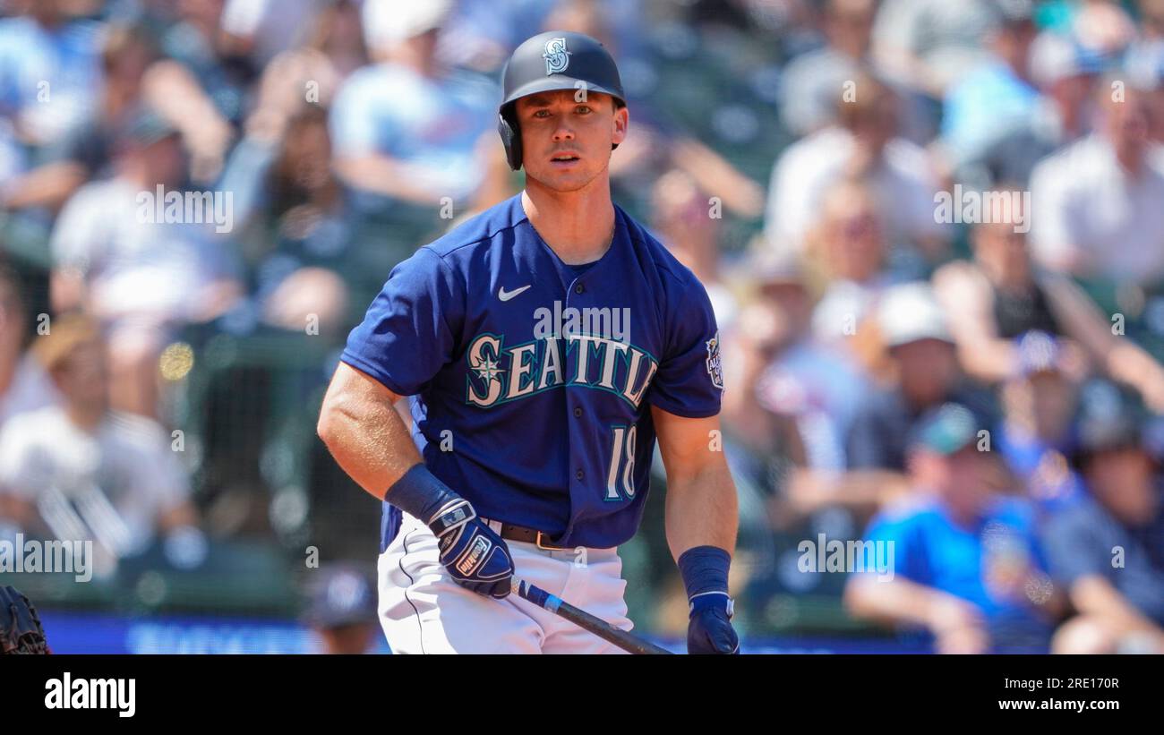 Minnesota Twins catcher Christian Vazquez looks on in between batters  against the Seattle Mariners during a baseball game, Tuesday, July 18,  2023, in Seattle. (AP Photo/Lindsey Wasson Stock Photo - Alamy