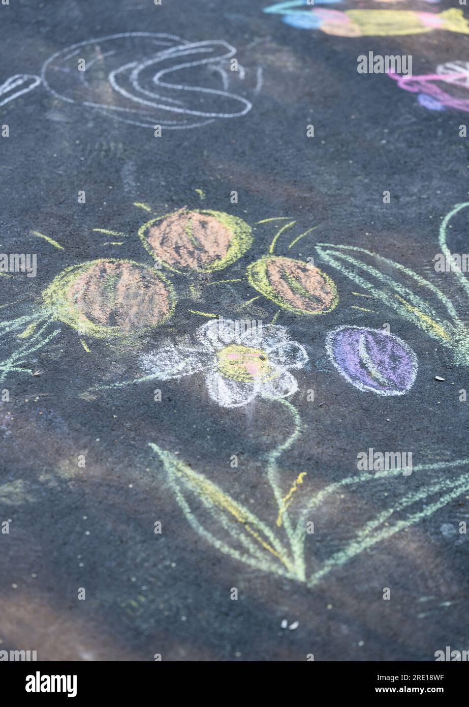 children's drawings with chalk on asphalt Stock Photo - Alamy