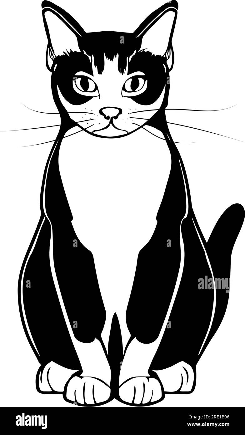 Cat Sitting Front View