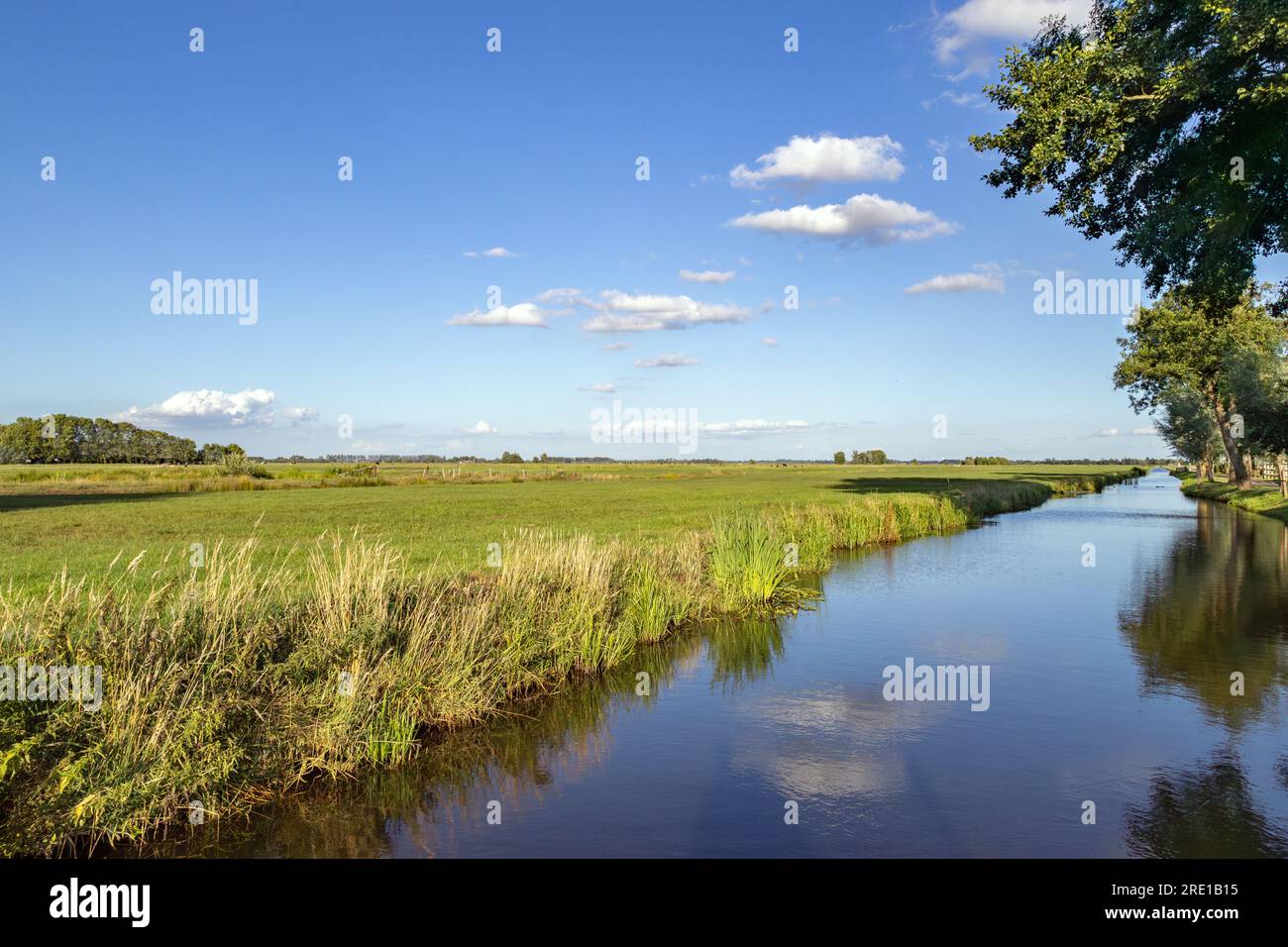 Dutch polder landscape with canal Stock Photo