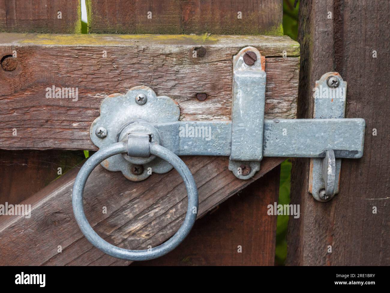 Ring handled gate latch in close up on a gate Stock Photo