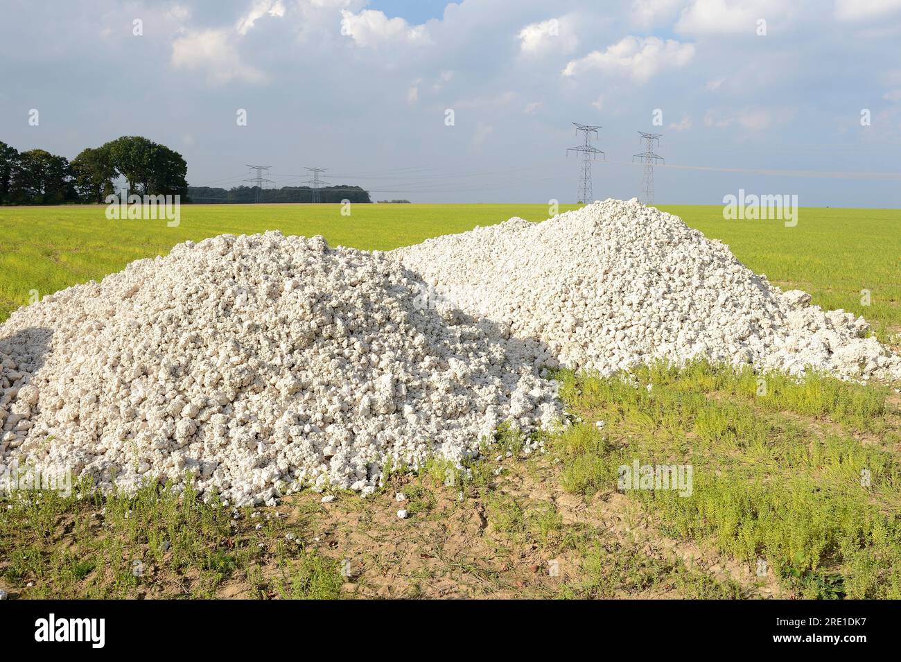 Agriculture marl limestone soil enriching agent on a field. Addition