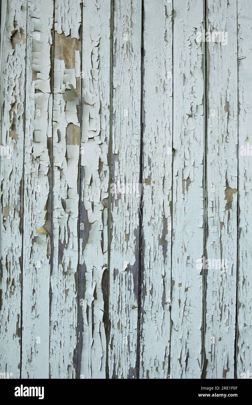 Wall of wooden planks with peeling paint Stock Photo