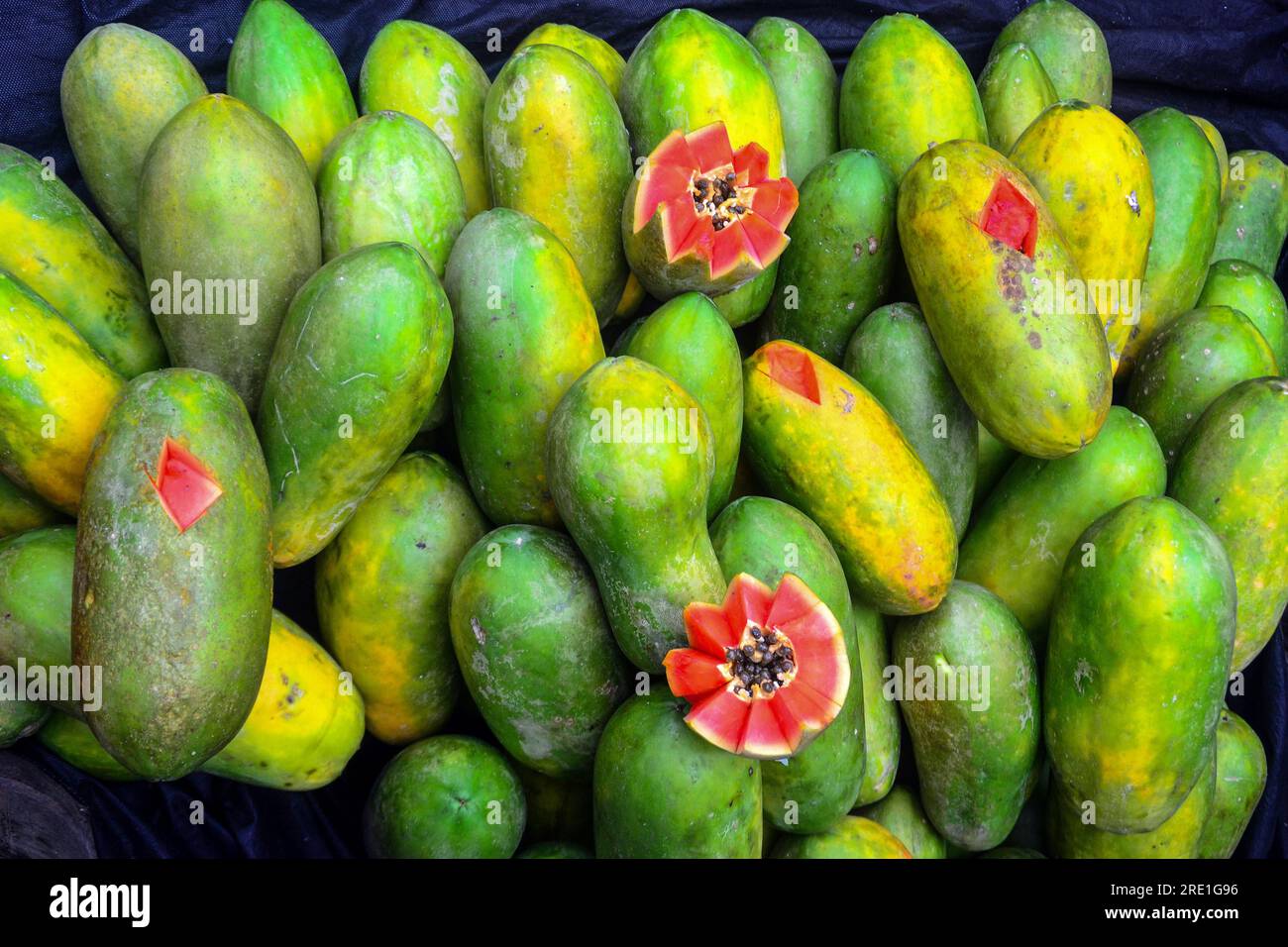 a collection of california papayas, one of the varieties of papaya that grows in Indonesia Stock Photo