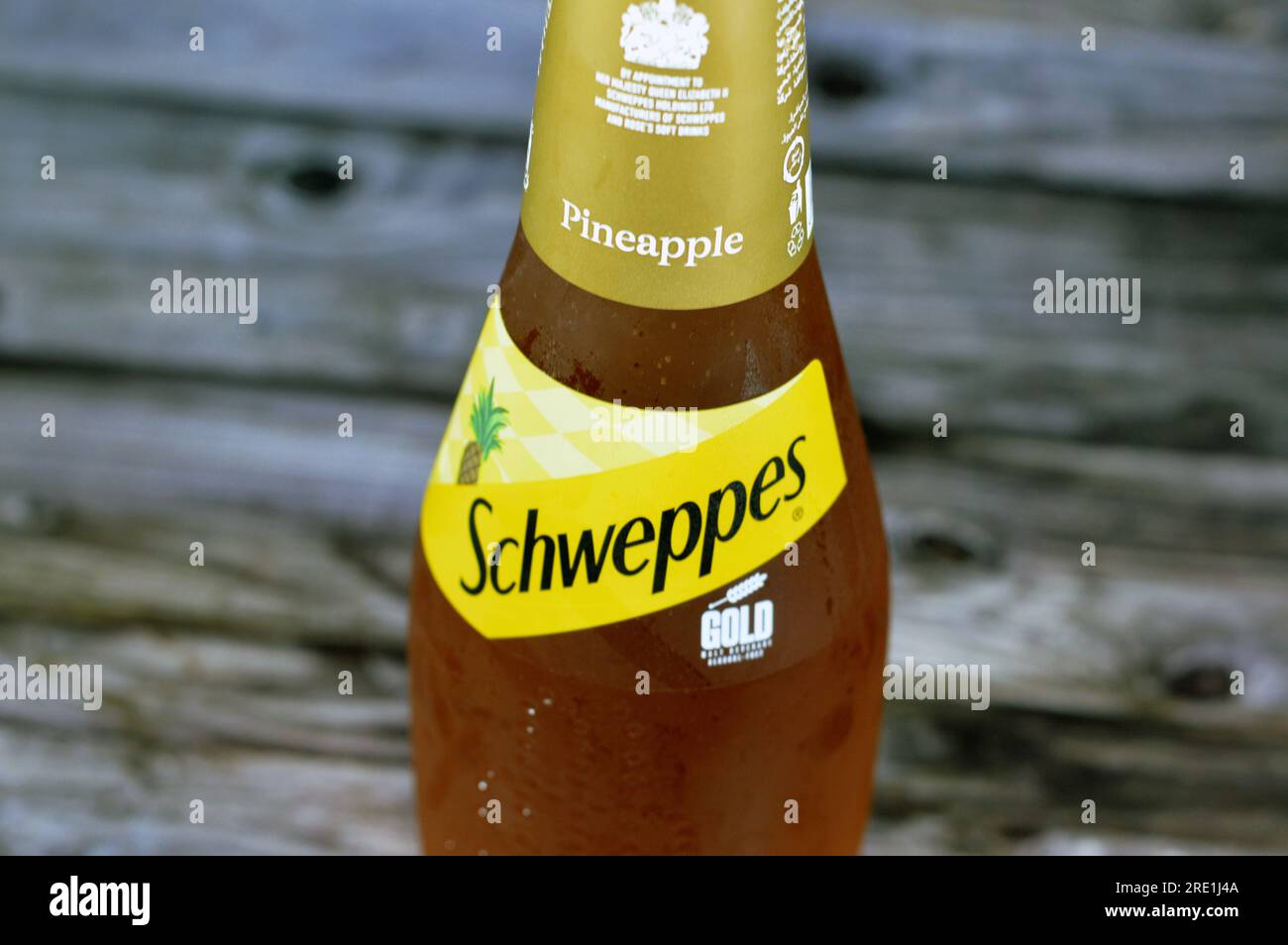 Giza, Egypt, July 21 2023 Schweppes Gold soft drink contains pineapple flavor, Schweppes is a