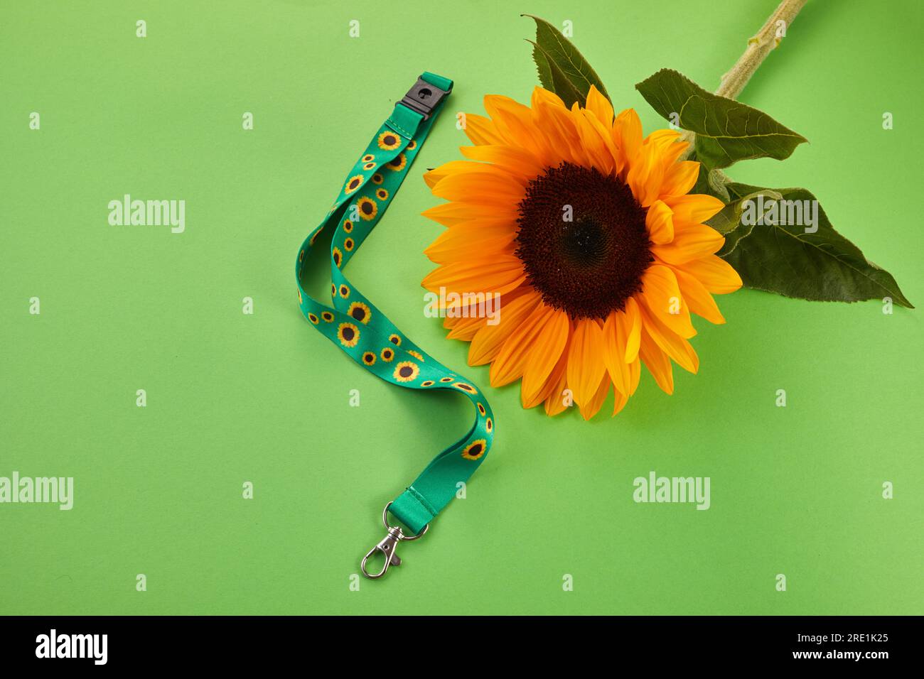 Sunflower lanyard, symbol of people with invisible or hidden disabilities. Stock Photo