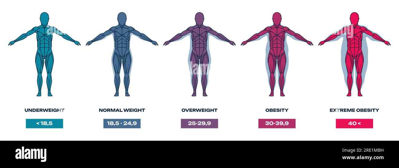https://c8.alamy.com/comp/2RE1MBH/body-mass-index-human-silhouette-with-different-shapes-and-sizes-underweight-overweight-and-obese-people-mass-index-chart-vector-illustration-anatomy-formula-unhealthy-weight-2RE1MBH.jpg