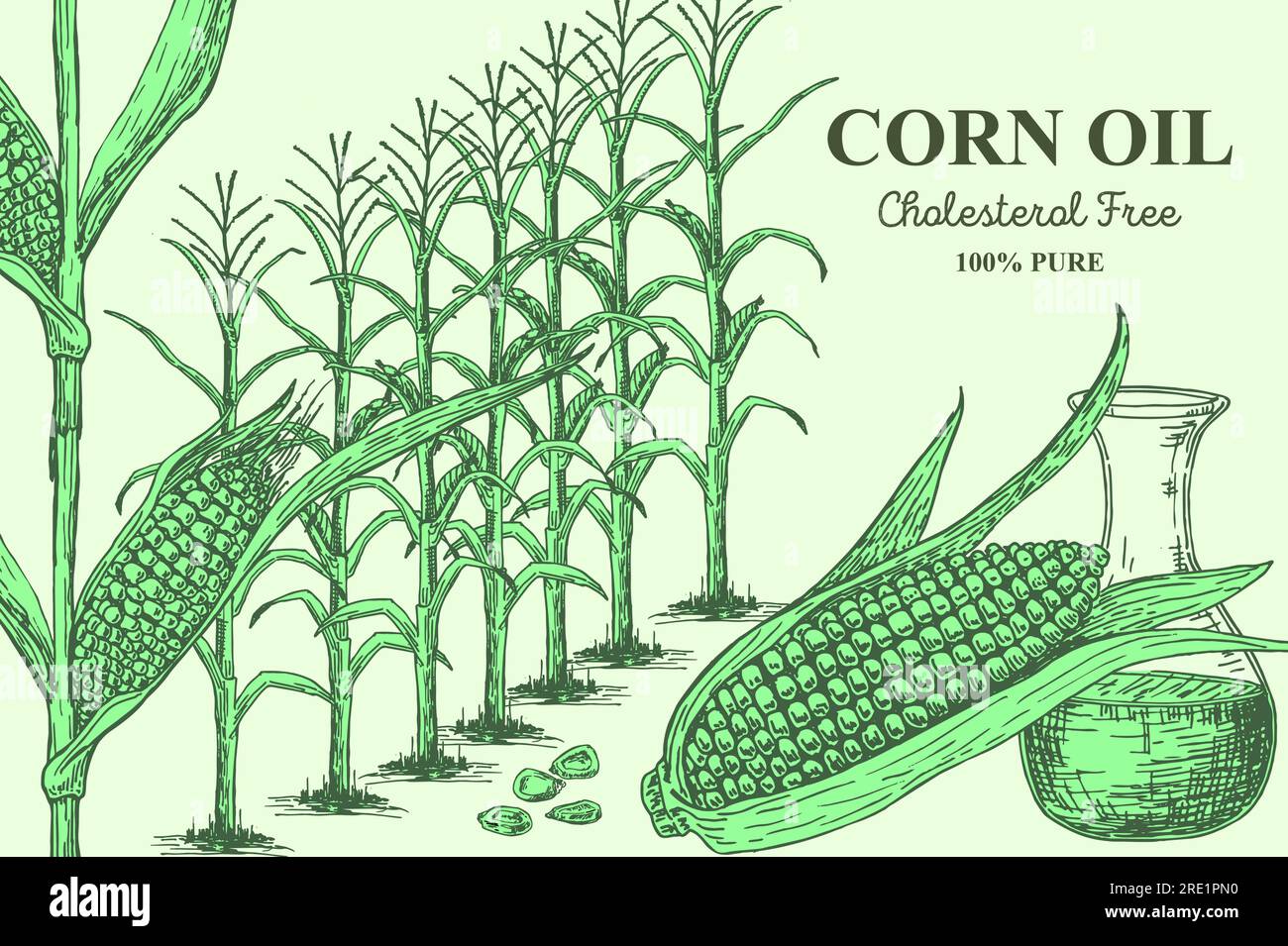 Corn oil cholesterol free 100 percent pure sketchy vector illustration
