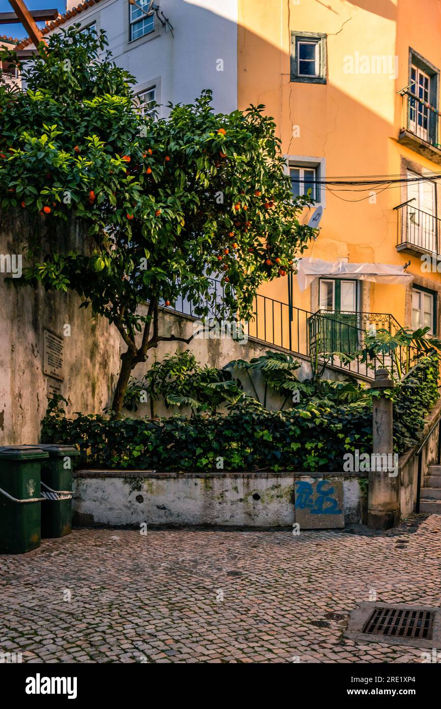 Exploring Historic Altstadt with Iconic Buildings, Elevators, and Trams in Ancient Lanes Stock Photo