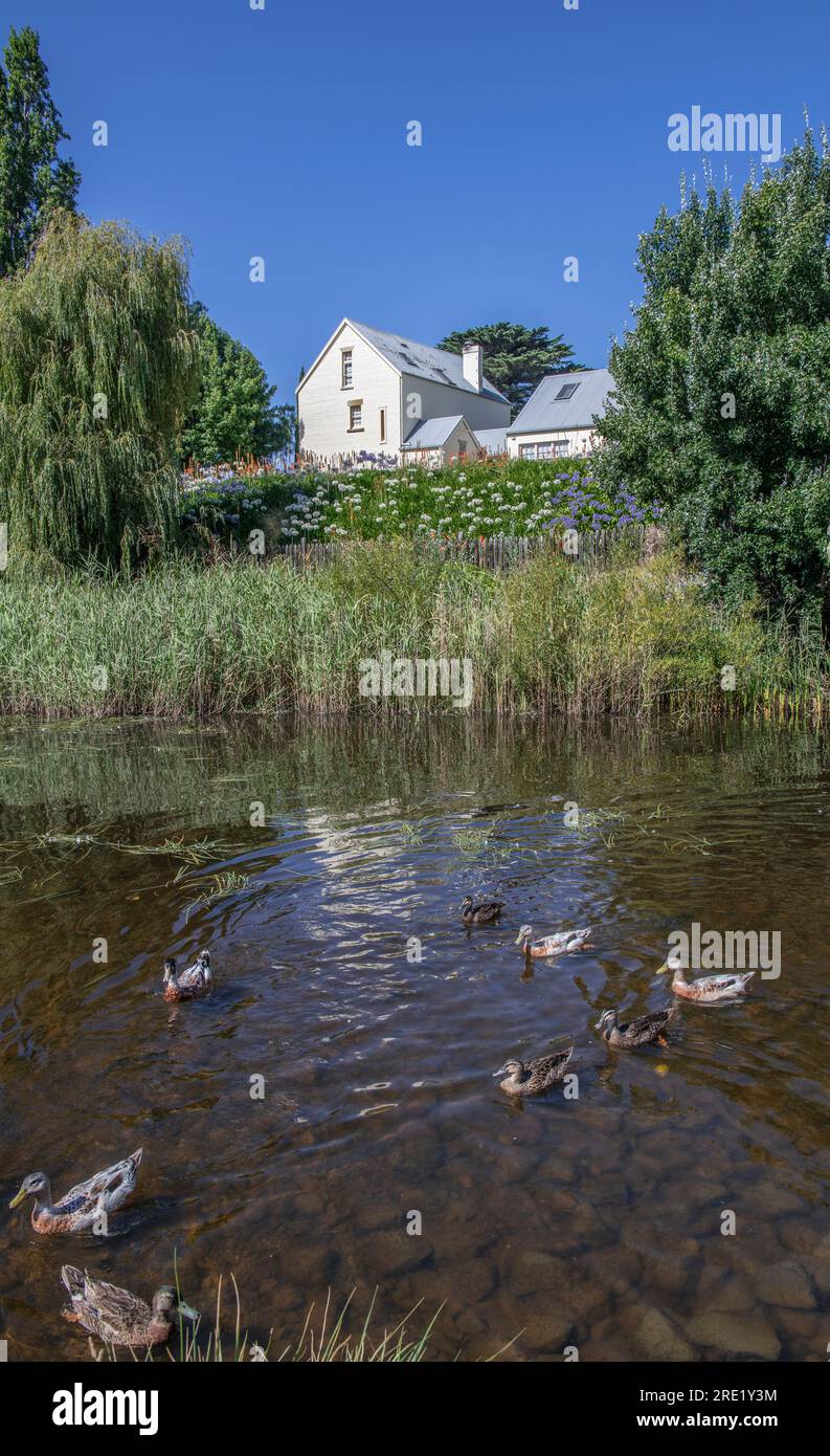 River bank Coal River Tasmania Australia 1 Stock Photo - Alamy