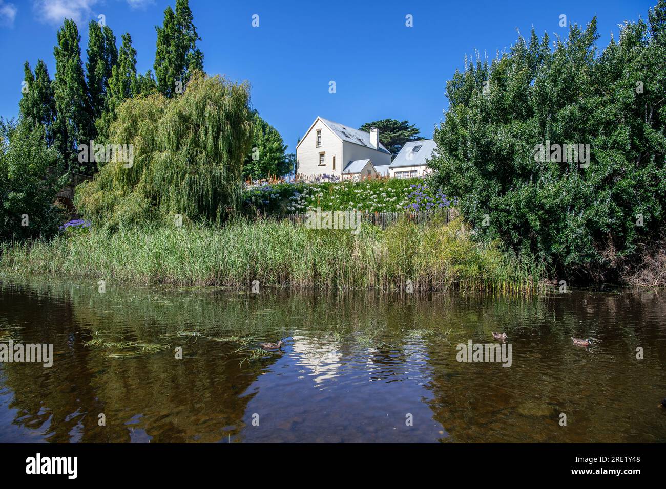 River bank Coal River Tasmania Australia Stock Photo Alamy