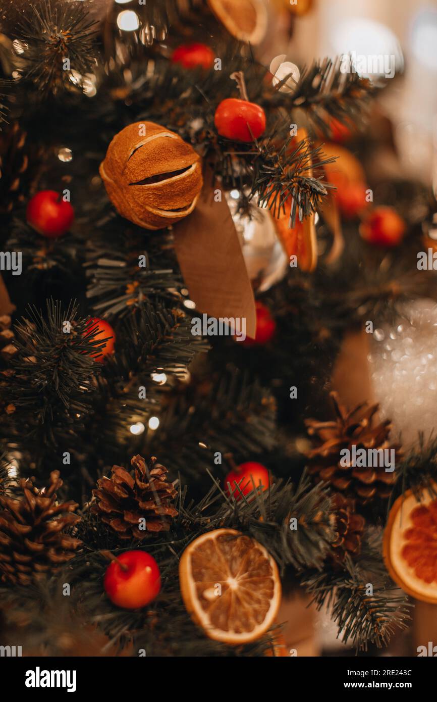 Dried oranges, mandarins, forest cones hanging on the Christmas tree branches. Cozy winter details and golden magic bokeh lights. Winter holiday decor Stock Photo