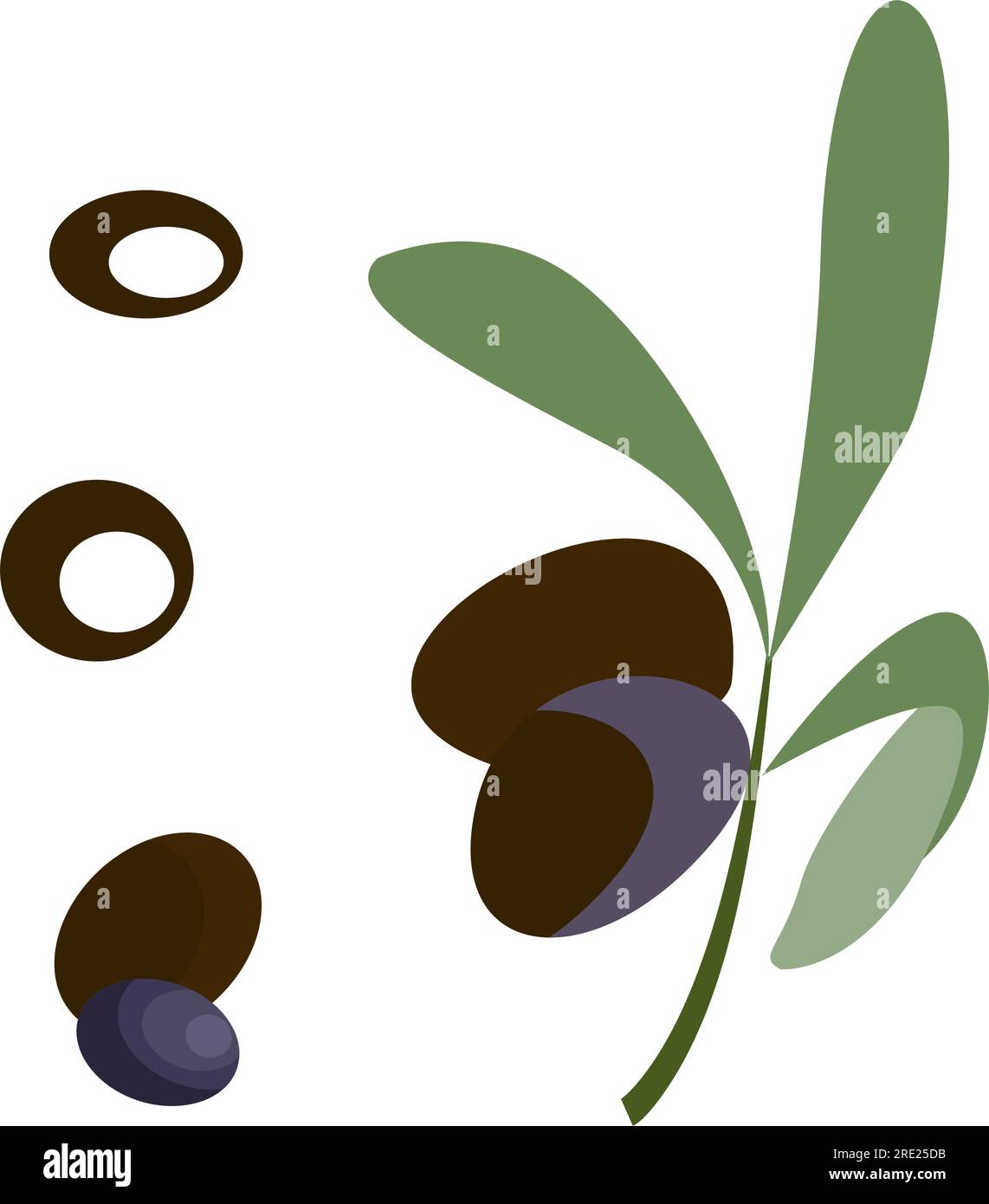 Black olive illustration Stock Vector Image & Art Alamy