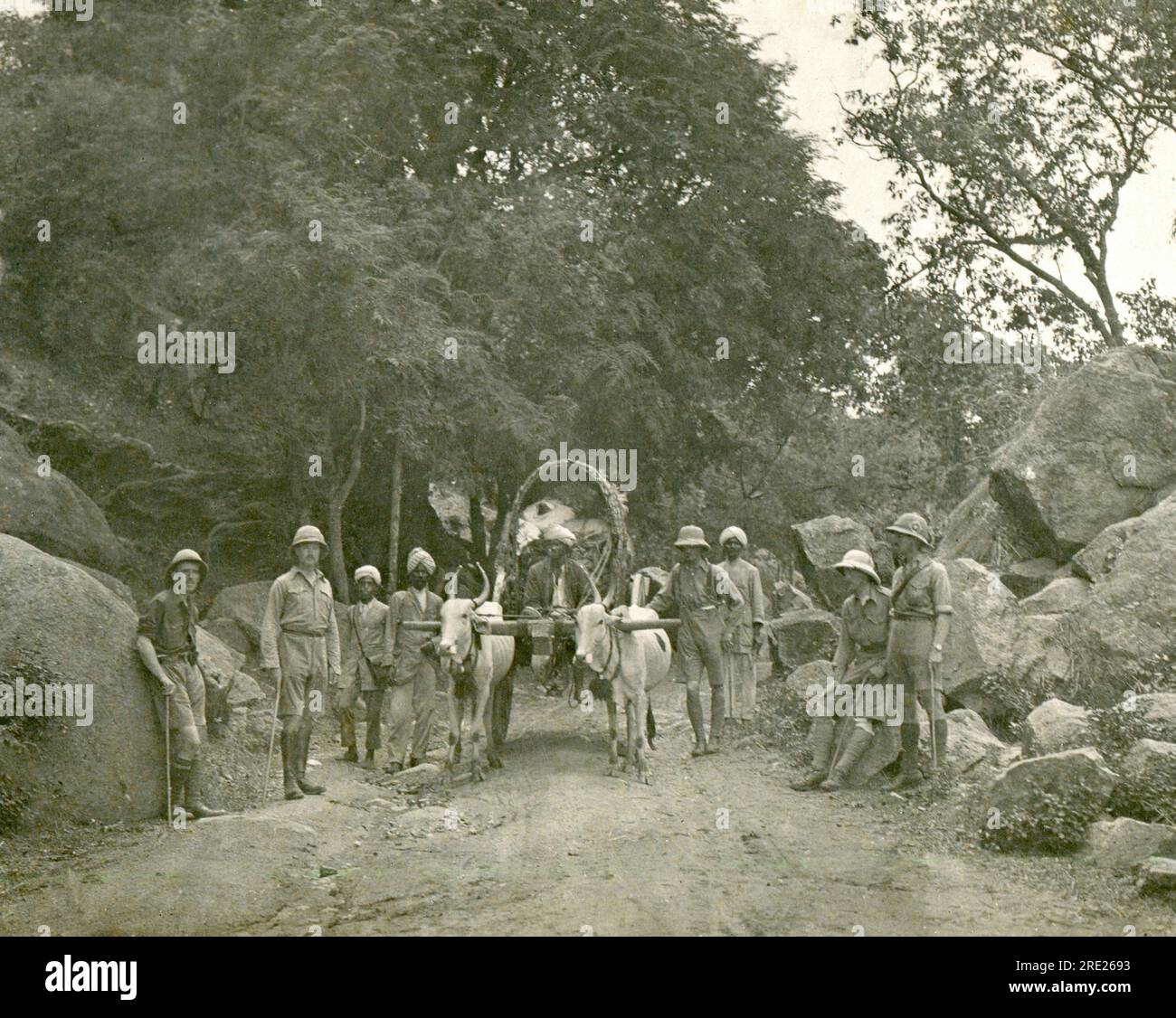 India. 1920s – A group of British army officers in sun helmets, posing for a photograph with local men and a bullock cart. Stock Photo