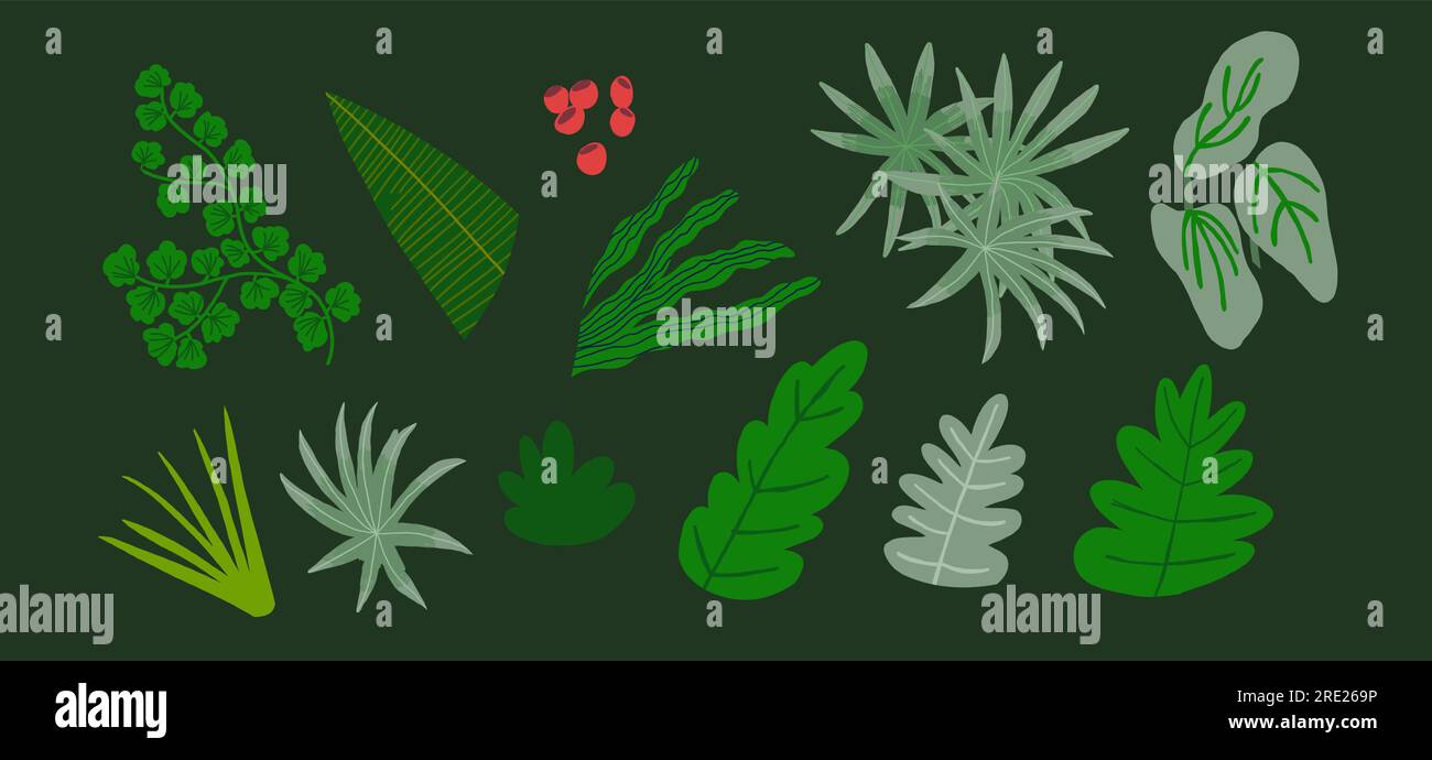 Vector set of flat illustrations of plants, trees, leaves, branches, bushes. Flat cartoon vector illustration. Vector illustration Stock Vector