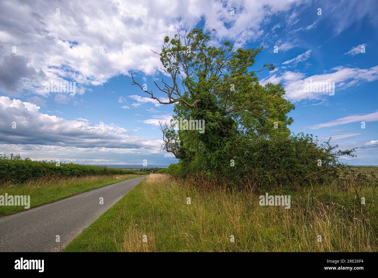 Landcdsape view of the Choseley Road close to Titchwell on the North Norfolk coast, UK Stock Photo