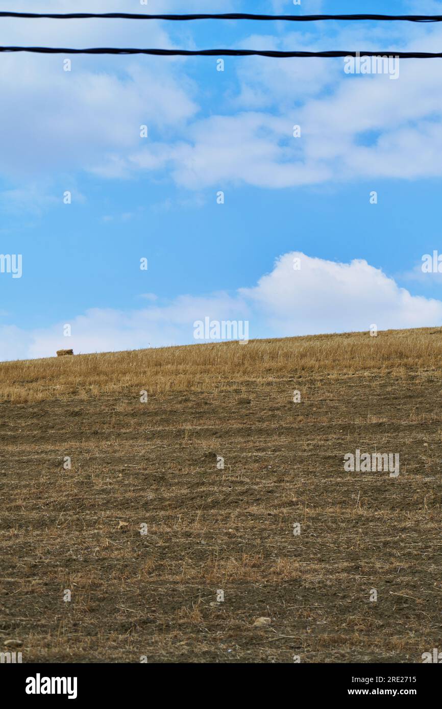 A field with a blue cloudy sky Stock Photo - Alamy