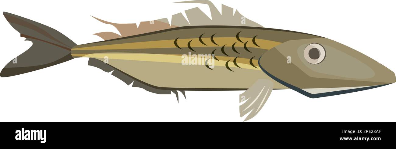 Common ling fish Stock Vector Image & Art - Alamy
