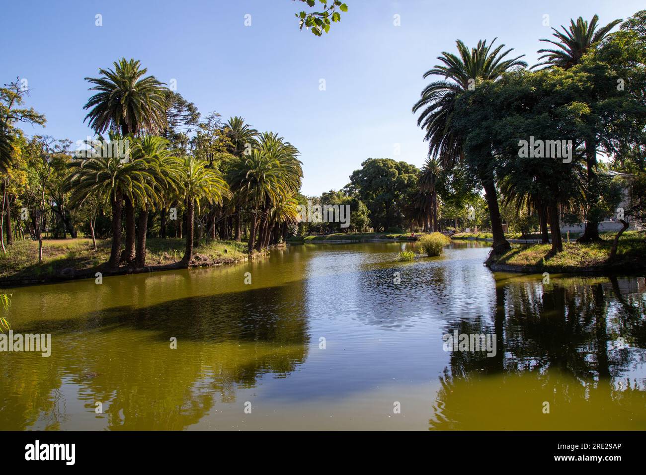 Scenic view of a serene lake at Parque Rodó in Montevideo, Uruguay, offering a peaceful oasis amidst the urban landscape Stock Photo