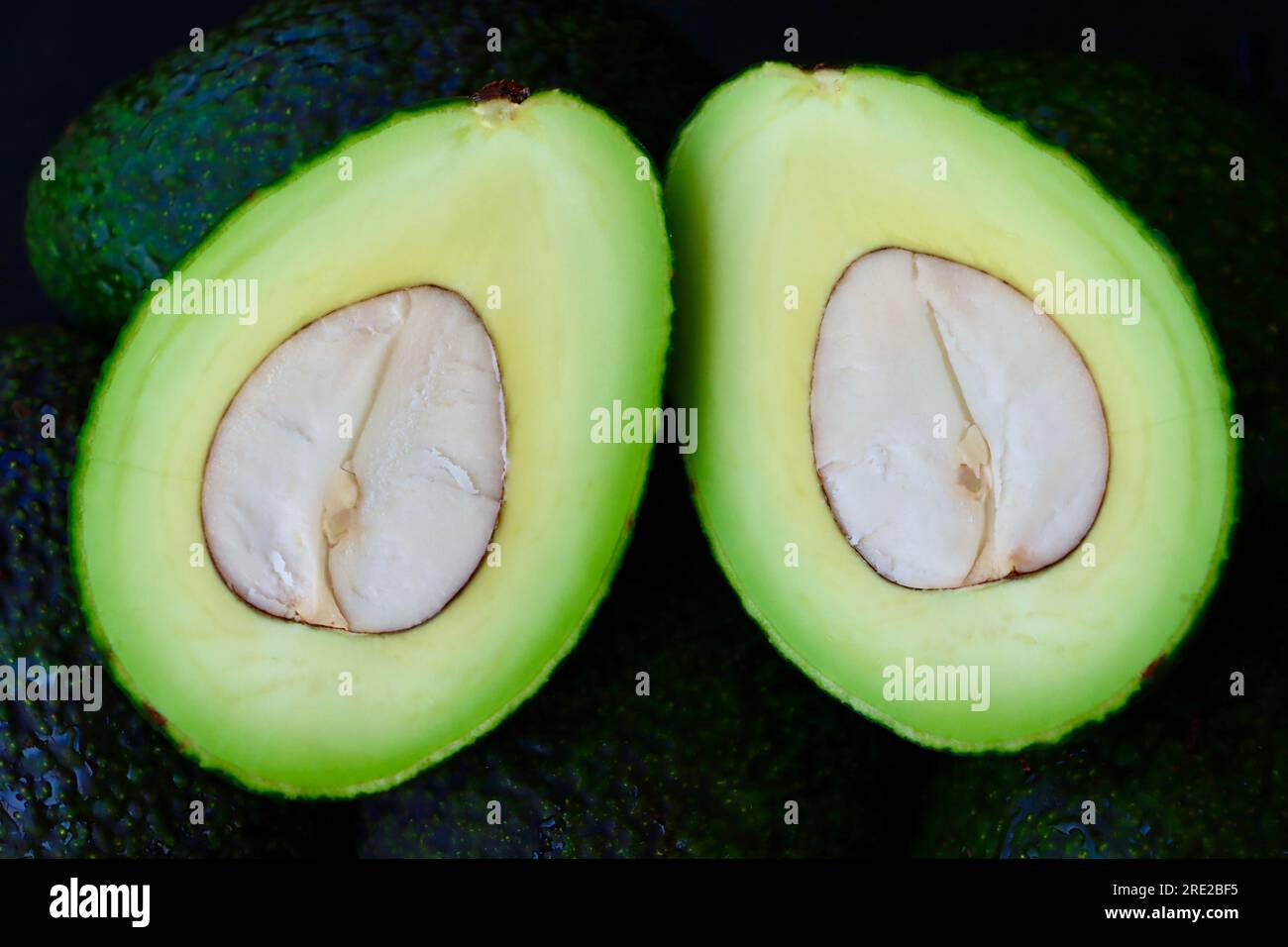Avocado (Persea americana) cut in two through the central seed/pit/kernel. Stock Photo