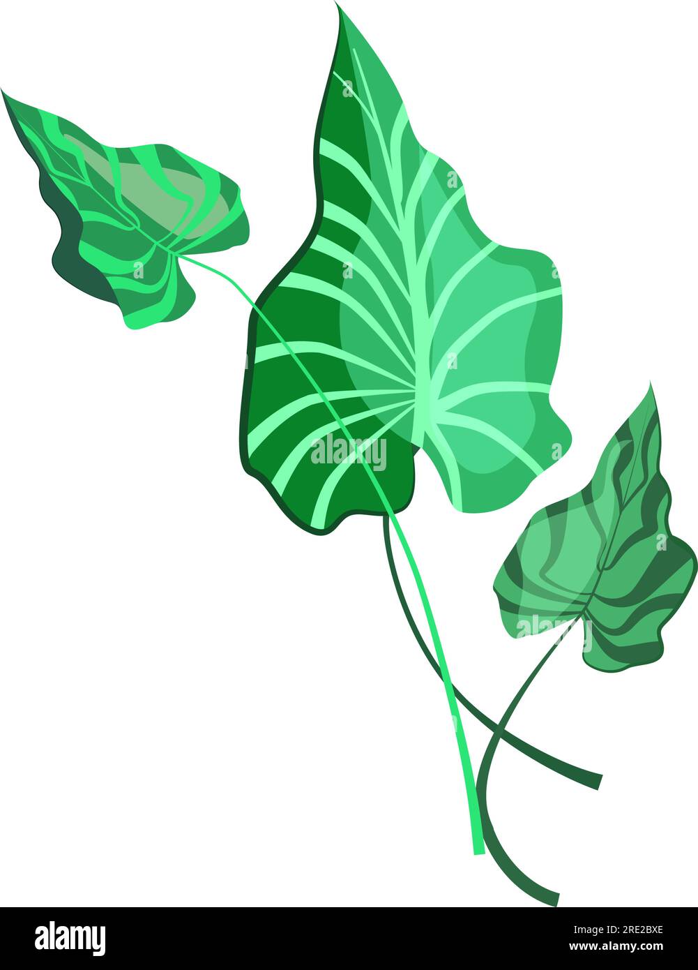 Green leaves of tropical plant illustration Stock Vector Image & Art ...