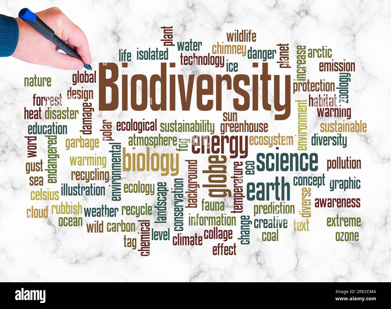 Word Cloud with BIODIVERSITY concept create with text only. Stock Photo