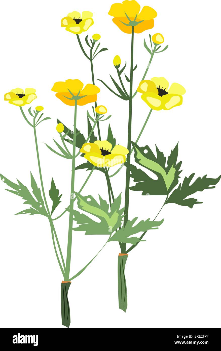 Yellow flowers illustration Stock Vector Image & Art Alamy