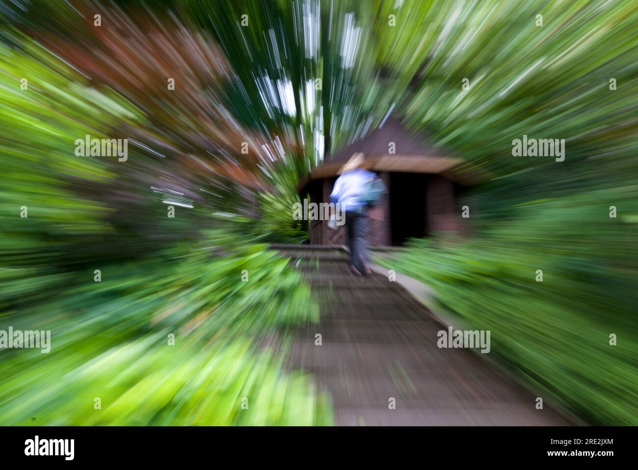 Zoom in the movement of the woman walking uphill in the park, a healthy lifestyle. Stock Photo