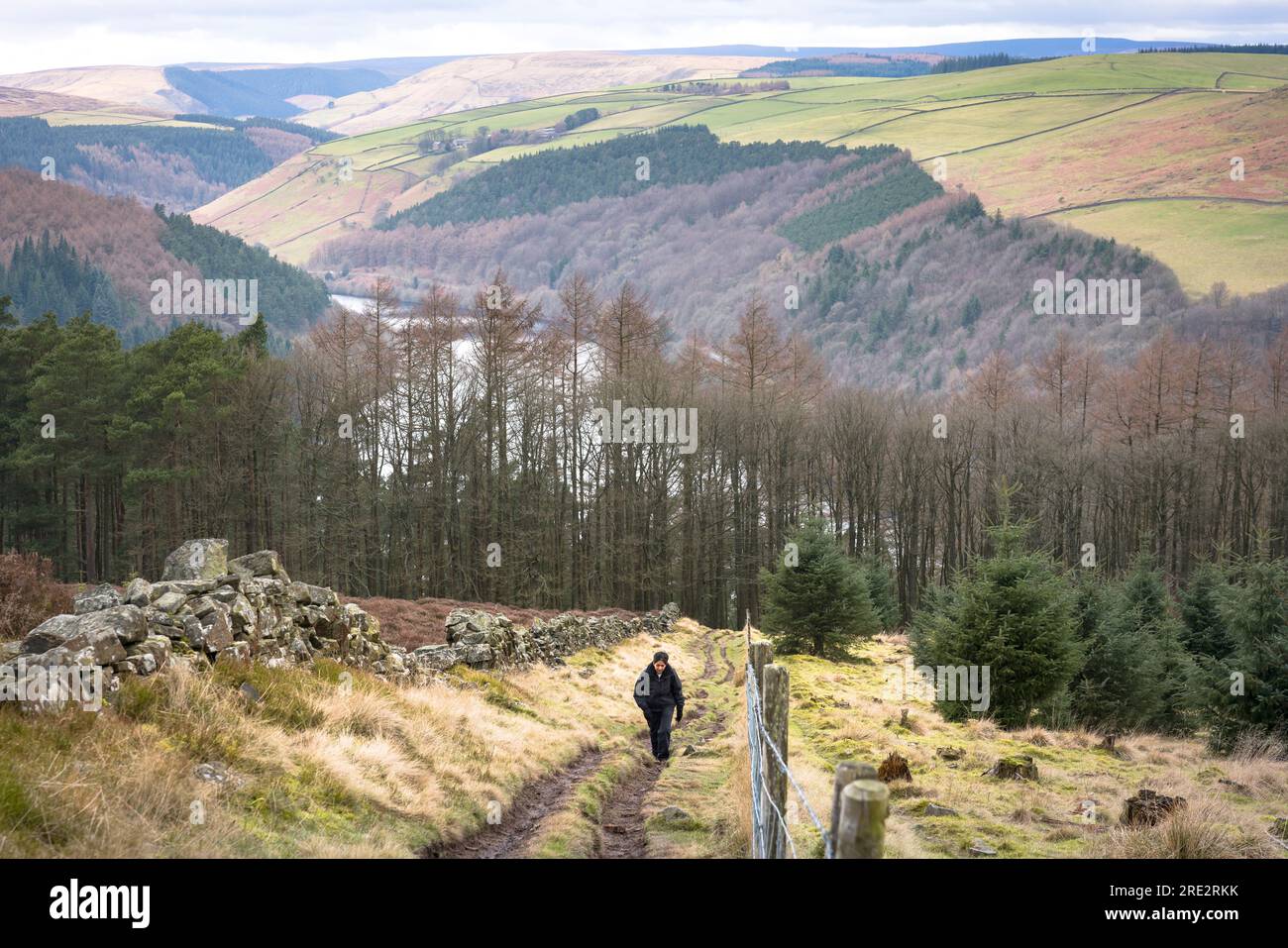 Asian Indian woman hiking alone in winter up Win Hill near Ladybower reservoir, Peak District, Derbyshire, UK Stock Photo