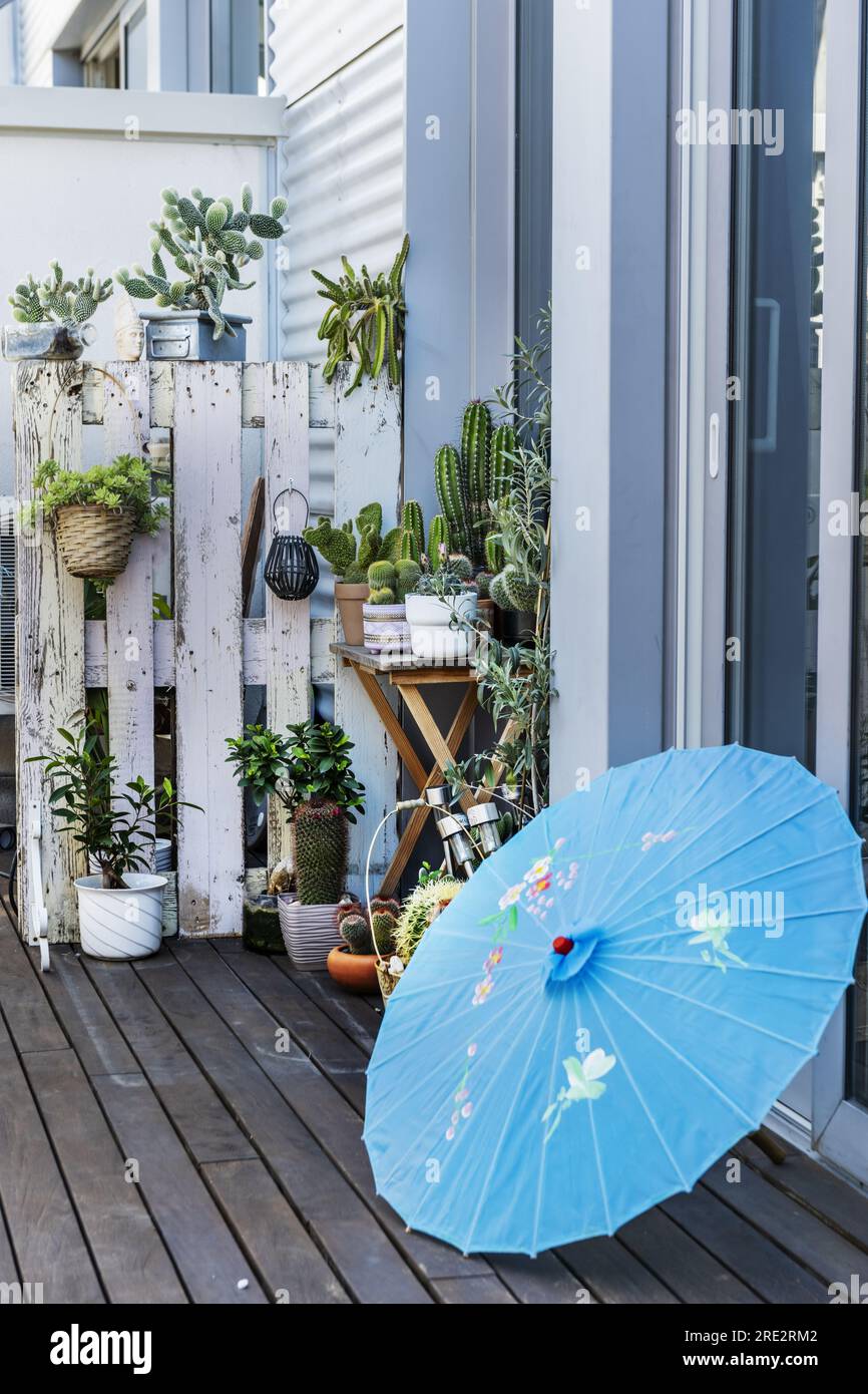 An urban terrace in a penthouse apartment with acacia wood floors