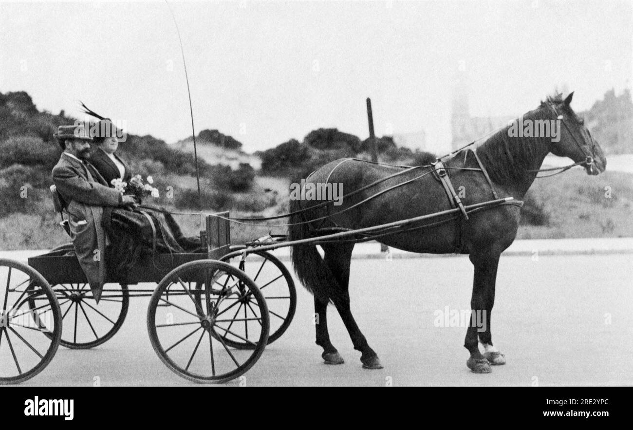 Canada Waterloo Quebec horse-drawn sleigh driver & passenger c. 1910 Canada Waterloo Quebec horse-drawn sleigh driver & passenger c. 1910