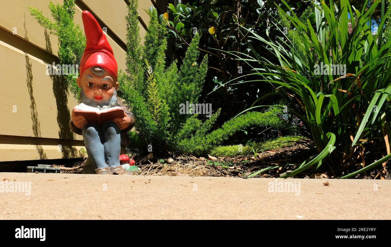 A garden gnome reading a book outdoors in the sunshine surrounded by