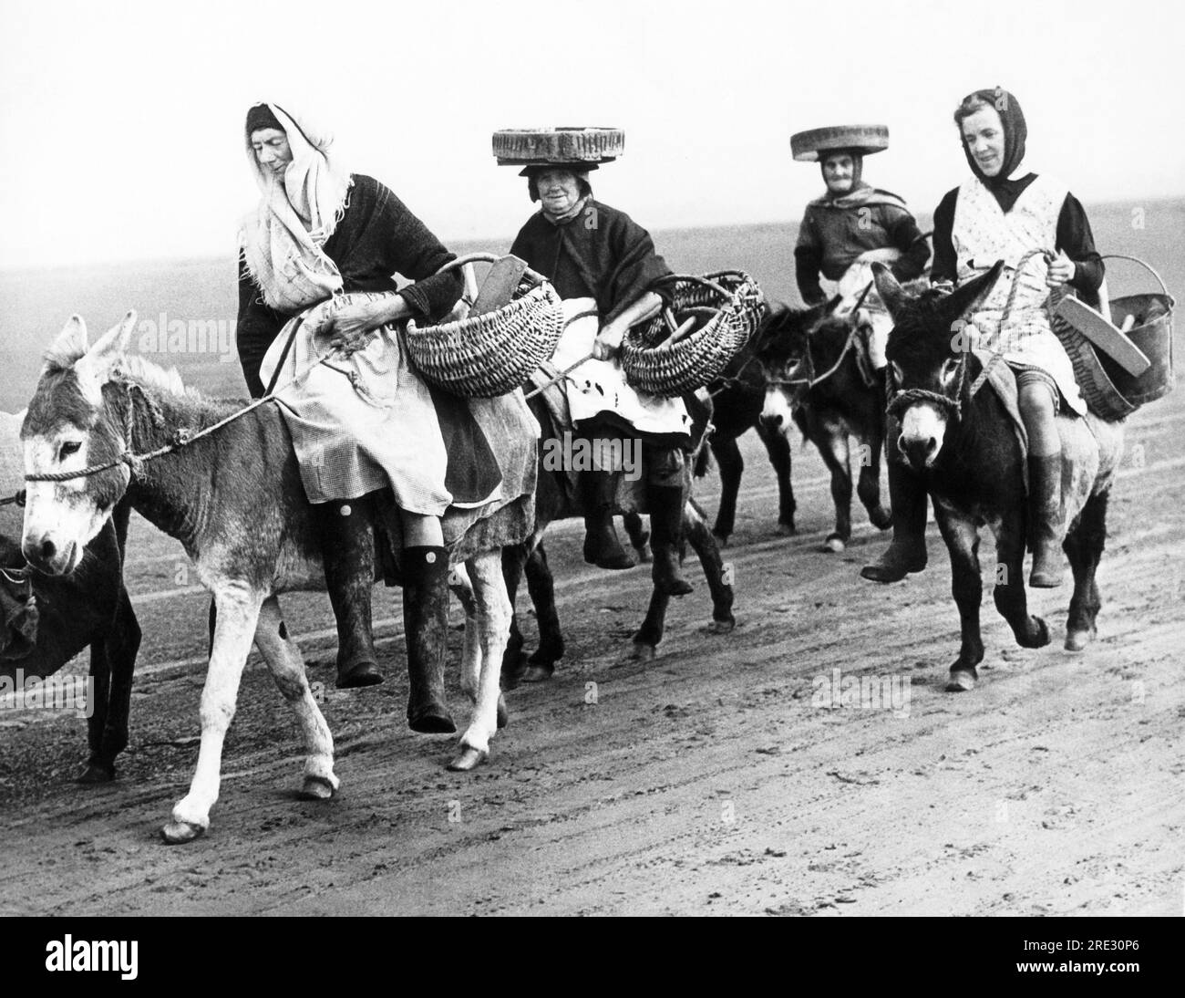 Wales, UK:  October 17, 1947 Women riding their donkeys on the Llanrhidian sands in South Wales in search of cockles left by the ebbing tide. Stock Photo