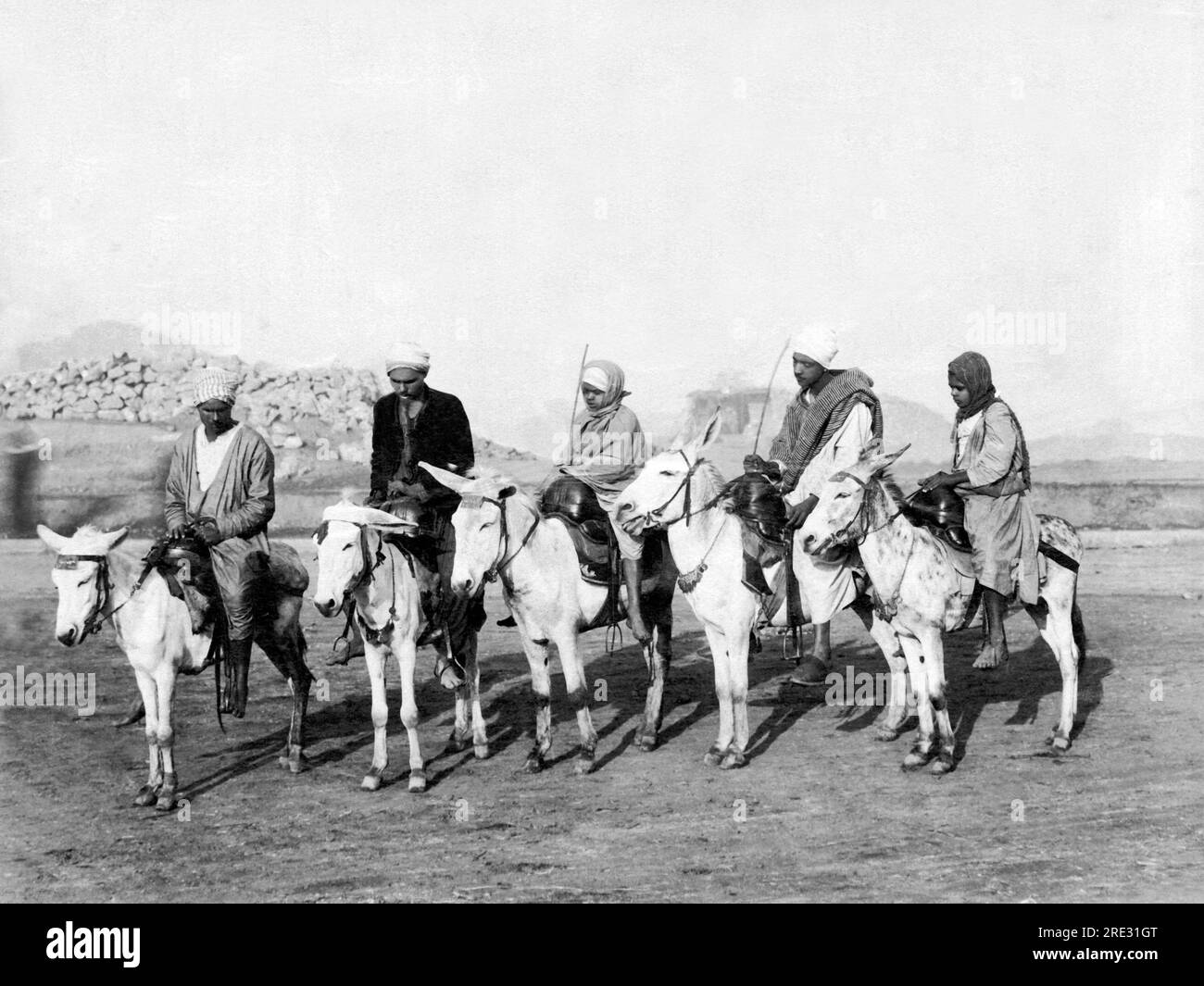 Port Said, Egypt:  c. 1880 Donkeys for hire along with their drivers. Stock Photo