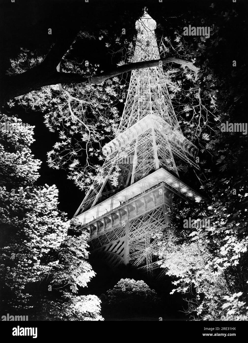 Paris, France:  c. 1962 The Eiffel Tower at night seen through the trees. Stock Photo