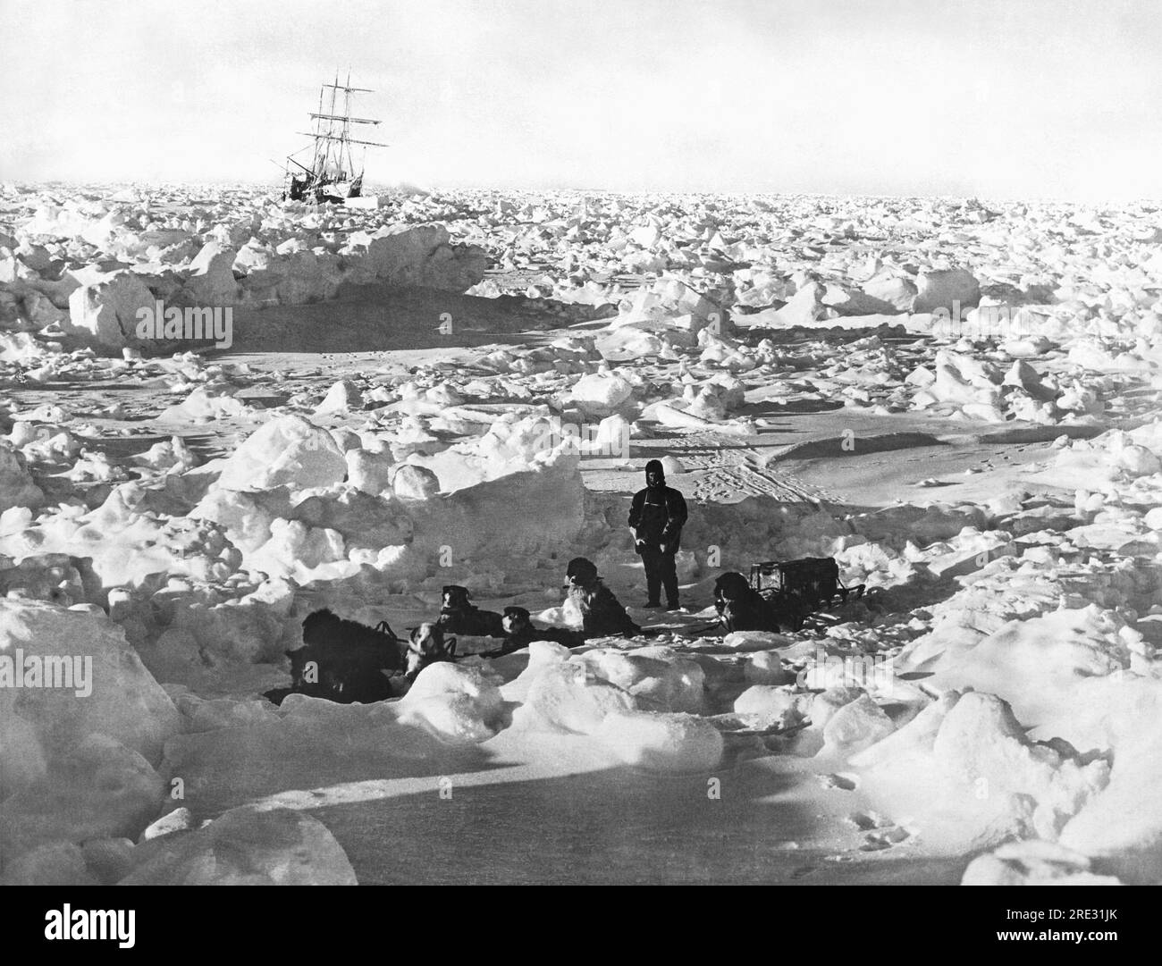 Antarctica:  1915 British explorer Sir Ernest Shackleton's ship, the Endurance, caught in the ice of the Weddell Sea, where it eventually sank. In the foreground is one of the expedition members out with a dog sled team on a food foraging expedition. Stock Photo
