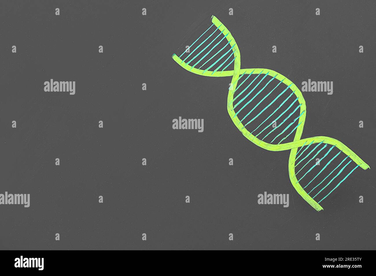Drawn DNA molecule on black chalkboard Stock Photo
