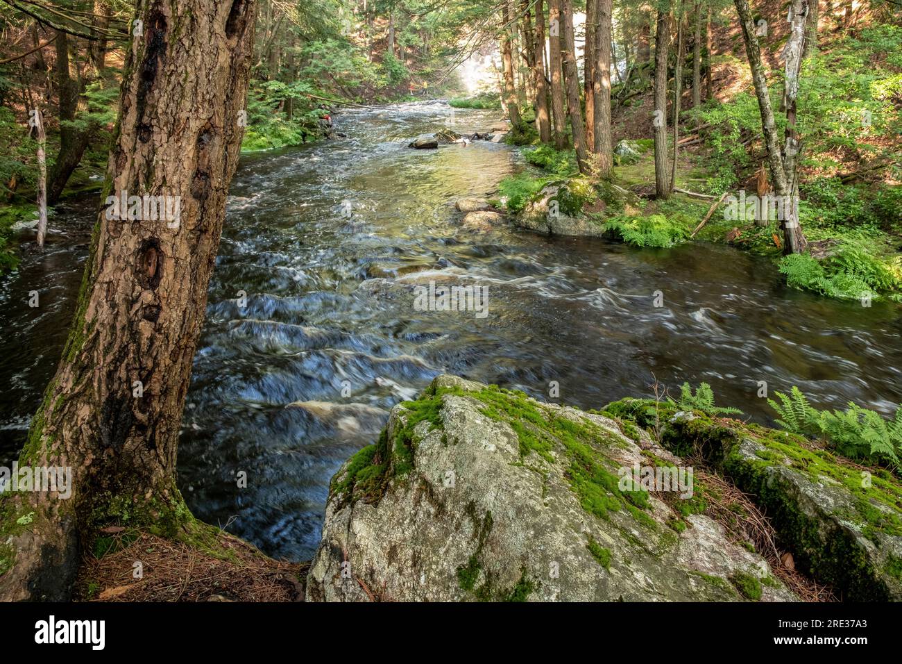 Brook river hi-res stock photography and images - Alamy