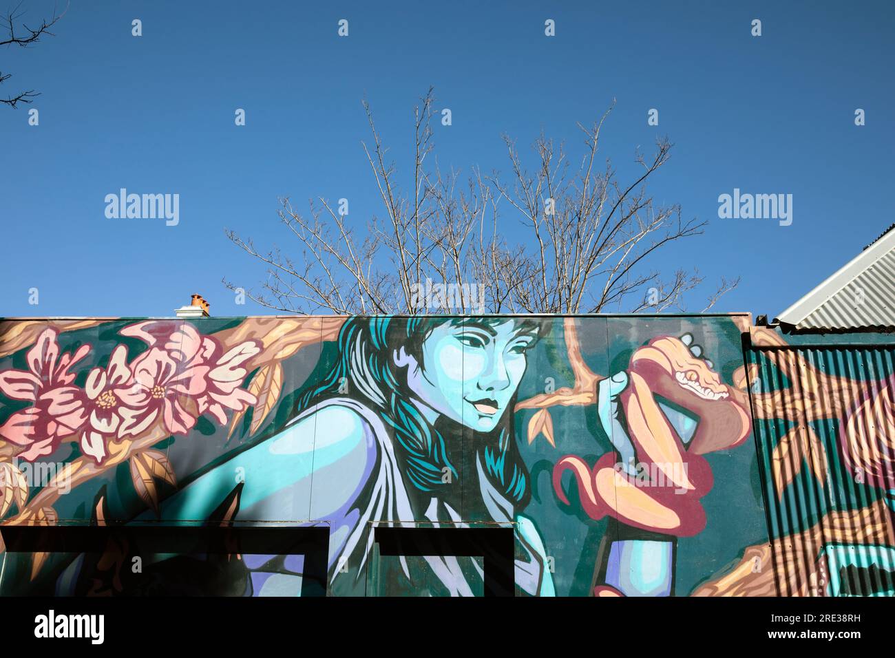 Street art Newtoen, Sydney, Australia Stock Photo