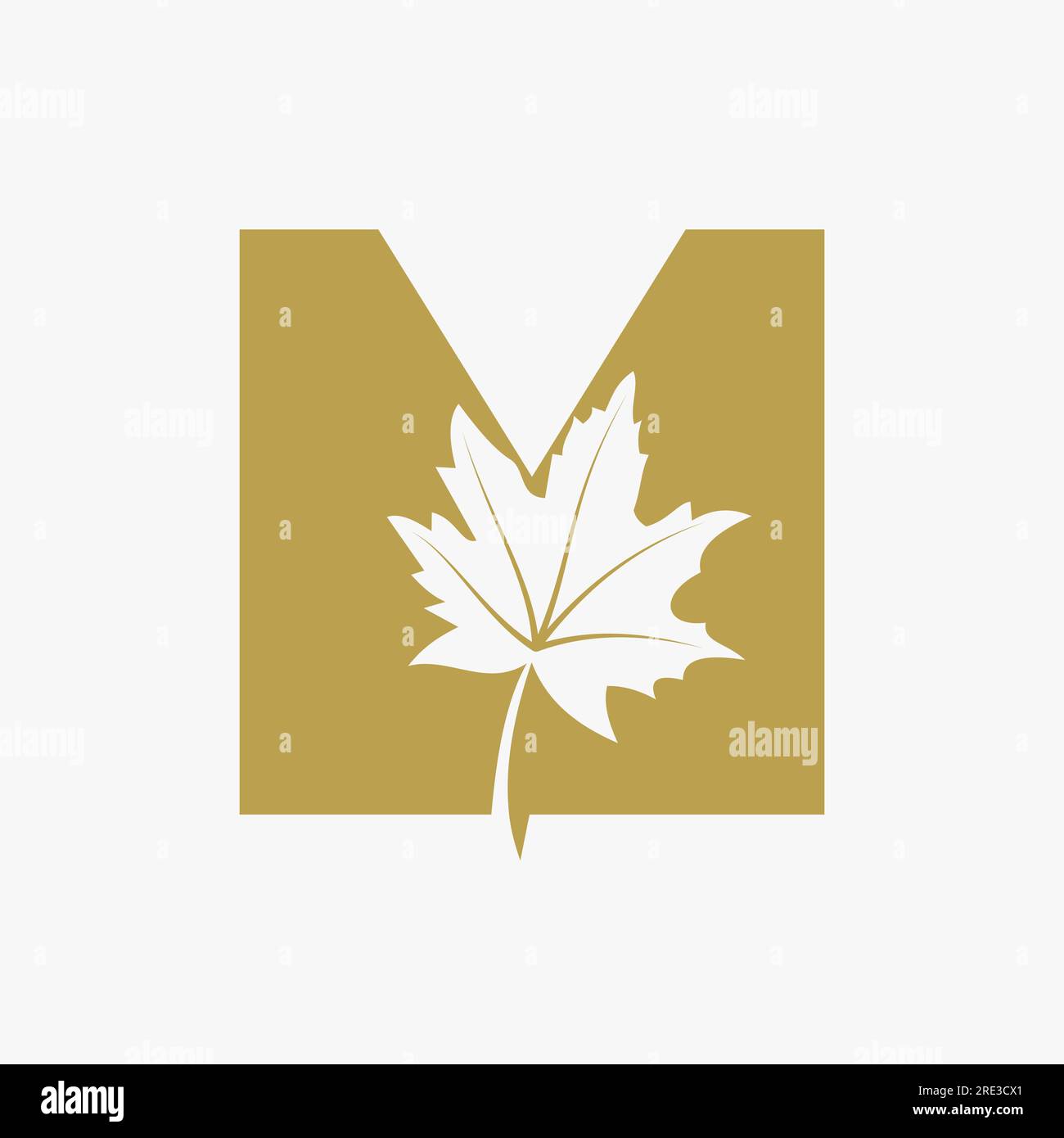 Letter M Maple Leaf Elegant Logo. Maple Leaf Logotype Vector Template Stock Vector